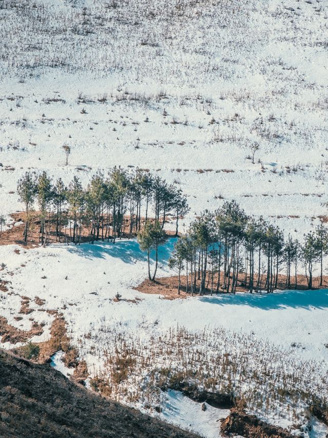 自駕雲南｜趁著寒潮，帶家人去大海草山看雪、戲雪、滑雪