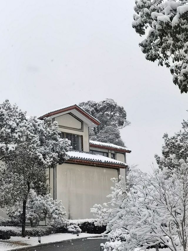 蒼山負雪，明燭天南