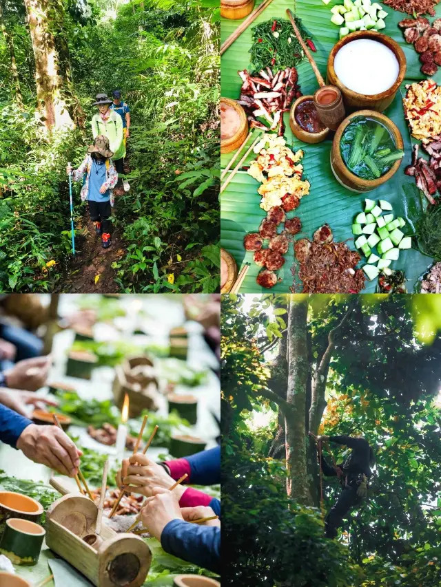 Gave up on the Starlight Night Market, the whole family went trekking in the Banna rainforest and it was amazing!