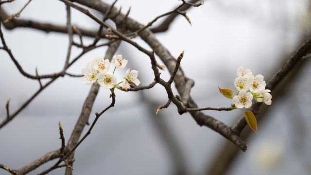 2024年3月15日 成都-金川