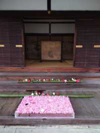 【京都·靈鑑寺·椿】