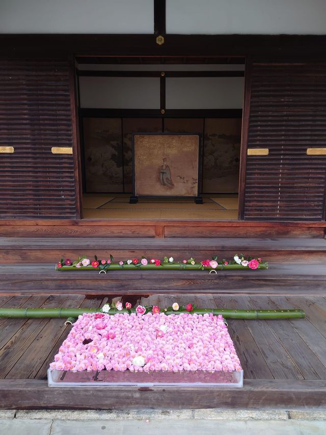 【京都·靈鑑寺·椿】
