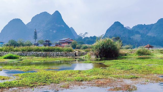 週末親子遊，鵝泉風景區，遊玩，踏青，賞花