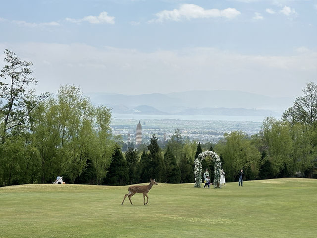 親子打卡｜大理蒼海雲上草原 拍照遛娃寶地