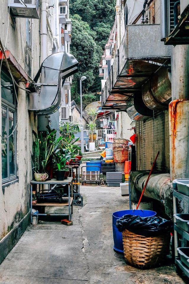 十年如一日的慢生活漁村|香港南丫島之旅