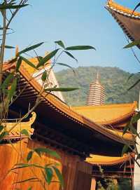 深圳百年古寺|7月1有燈會！！