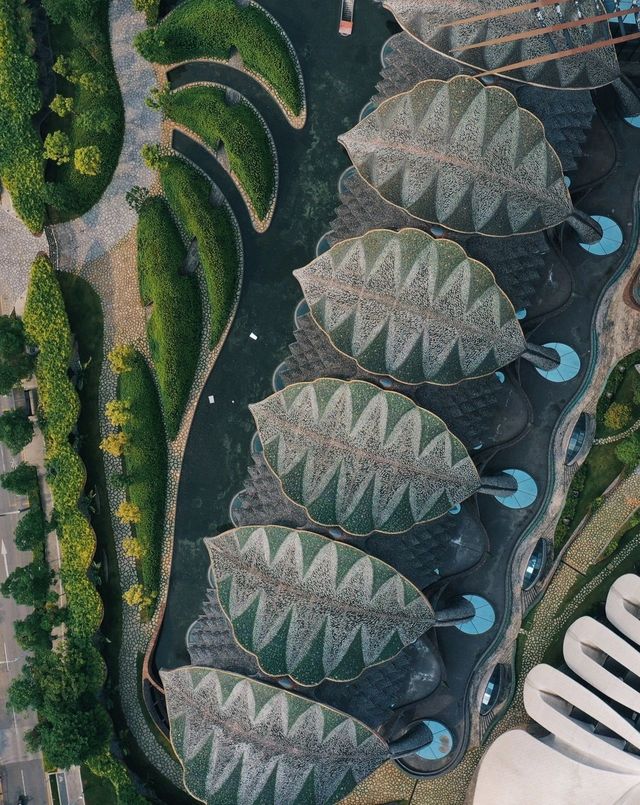 深圳玛丝菲尔大廈/西班牙之旅