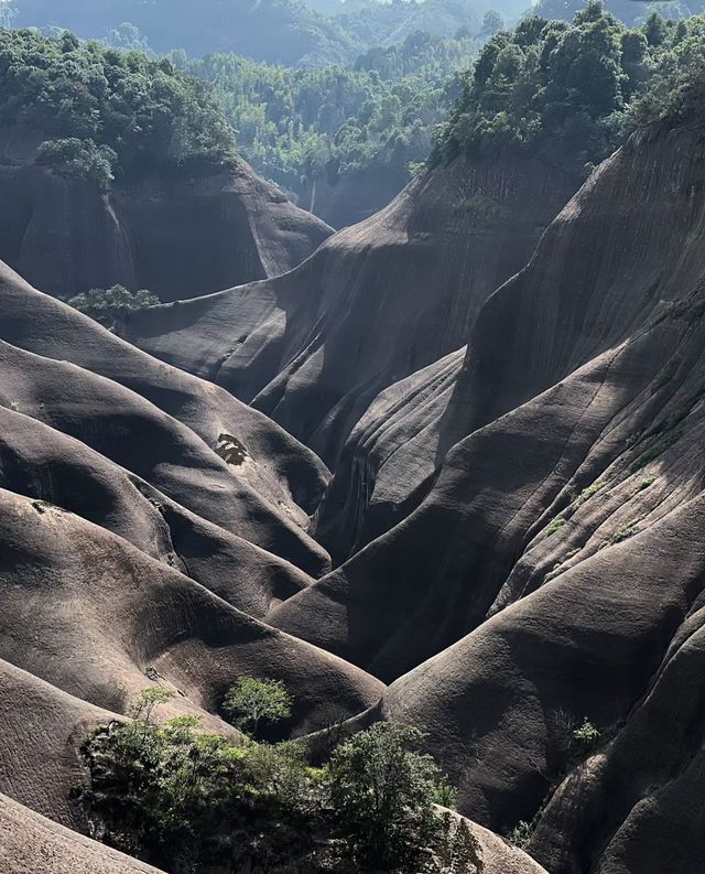 剛從高椅嶺出來，熱乎的避雷貼