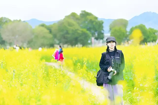 Come to Guangming in Shenzhen, walk across the Rainbow Bridge to fortune, visit the flower sea and eat pigeon milk