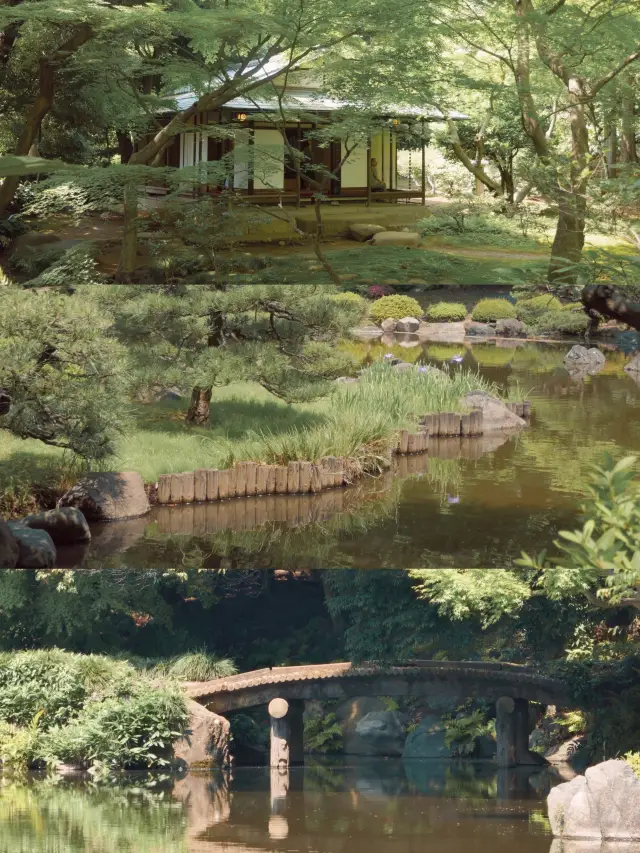 東京 | 夏天就來舊古河庭院，體驗一場古堡下午茶