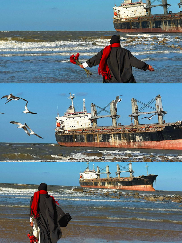 在威海拍到了電影畫面沉船海鷗buff疊滿