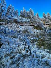 冬天必打卡瓦屋山2天1晚詳細攻略來囉