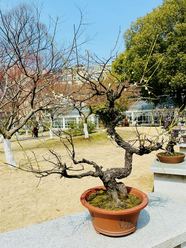 逛逛古林公園