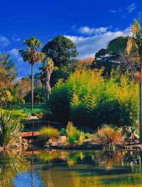 墨爾本絕佳拍照打卡處——墨爾本皇家植物園！