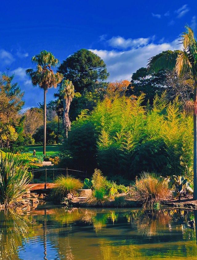 墨爾本絕佳拍照打卡處——墨爾本皇家植物園！