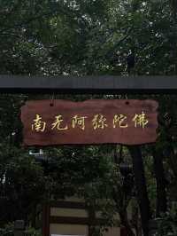 心平能愈萬千疾|深圳藏在鬧市中的小眾寺廟