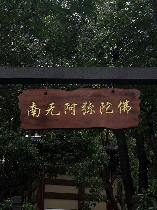心平能愈萬千疾|深圳藏在鬧市中的小眾寺廟