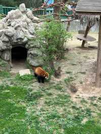 西安秦嶺野生動物園｜一日遊