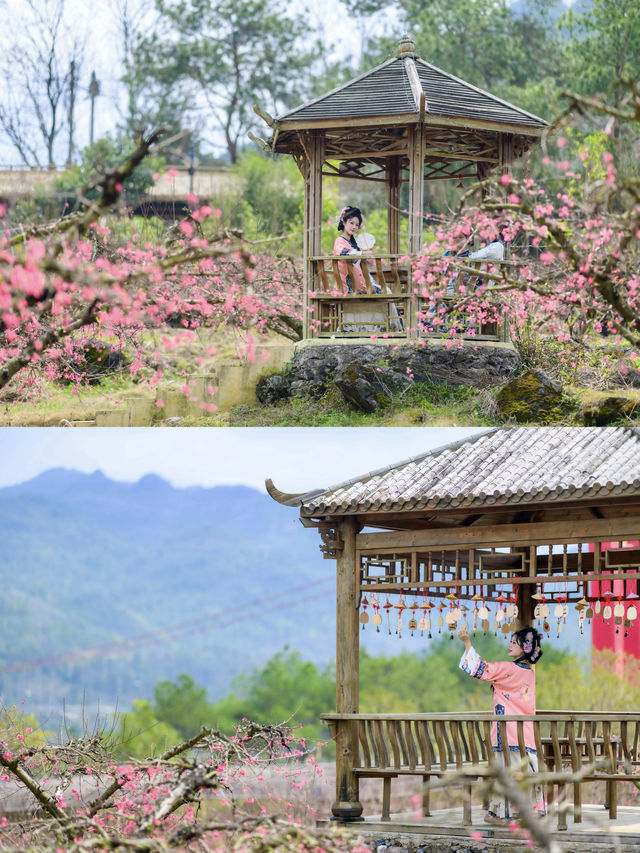 廣東周邊遊｜絕美桃花林真的好出片