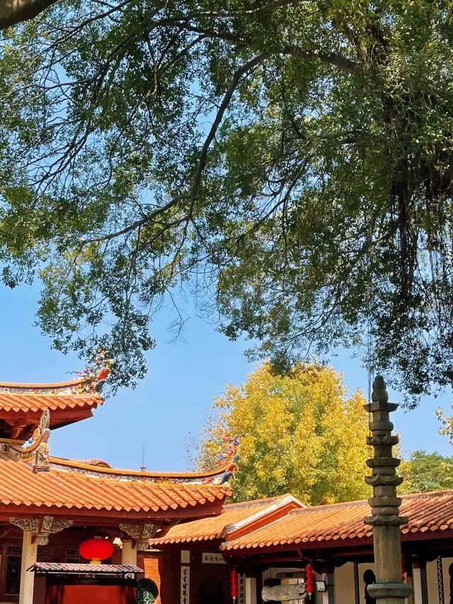 Quanzhou Hidden Gem: A Secluded Temple to Escape the Crowds and Listen in Peace