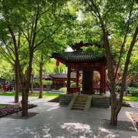 太原碑林公園·看傅山書法