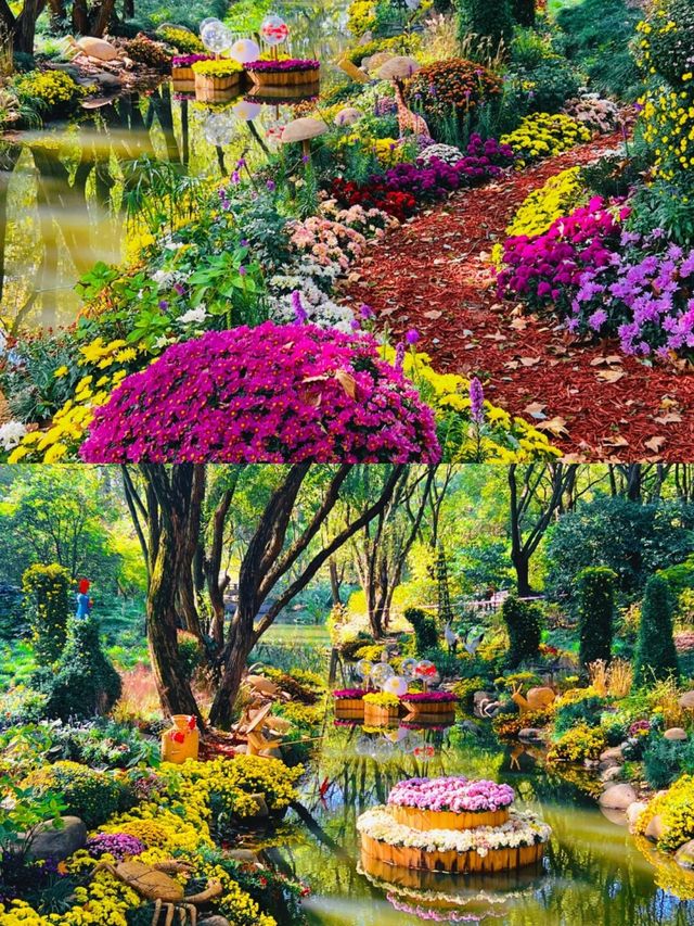 共青森林公園｜上海的莫奈花園，太仙太美啦