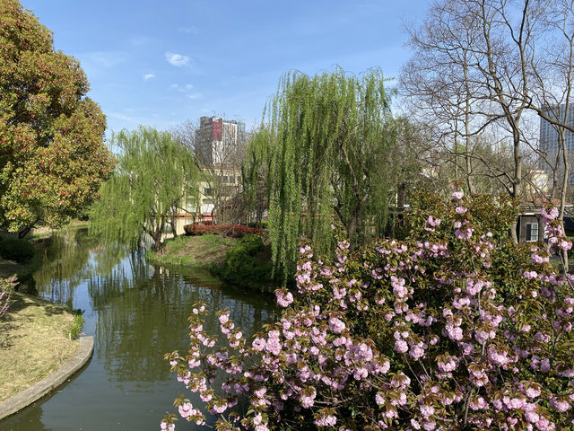 奉浦四季生態園，家門口的免費景點