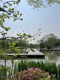 杭州｜春天的白馬湖公園太適合露營啦！