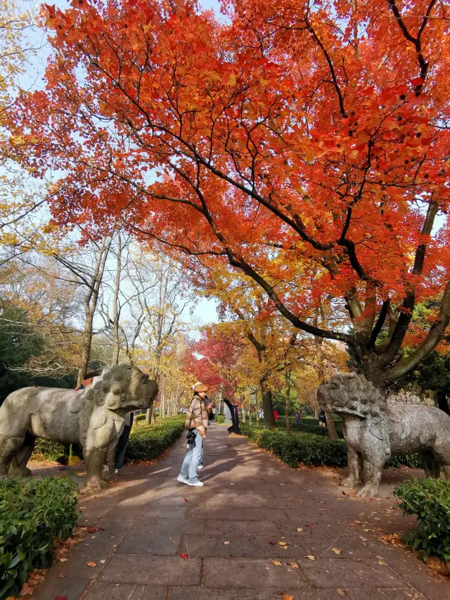 นานกิงที่สวยงามที่สุด 600 เมตร - ถนนหินแกะสลักของหลุมศพหมิงเสี่ยวหลิง