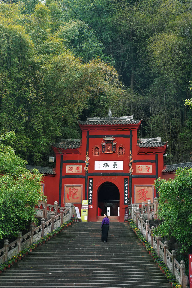 比起樂山大佛，我更愛山頂這座中國紅古寺