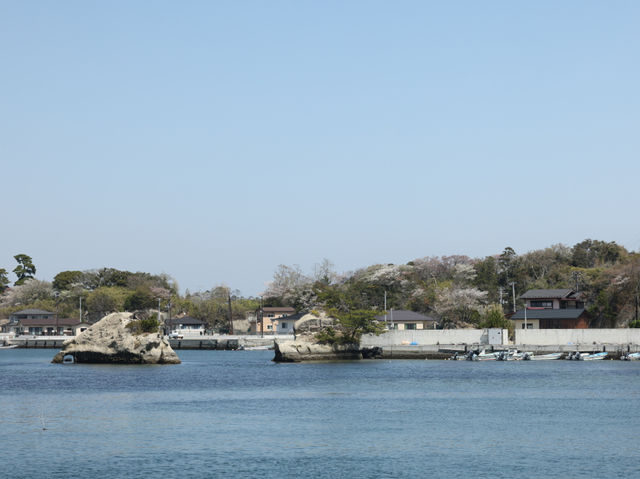 探索松島：260座島嶼的魅力
