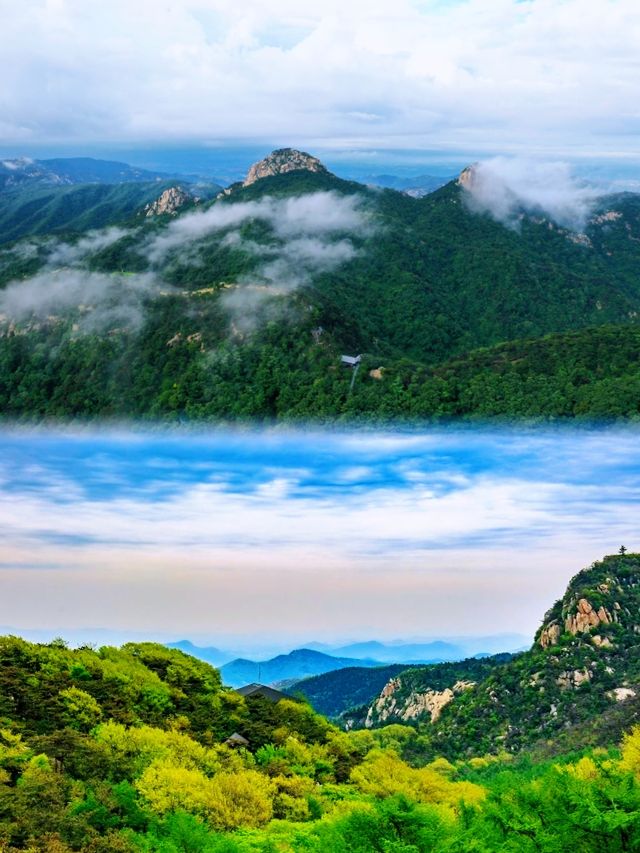 春漸遠，夏將至！在蒙山邂逅春天的最後一次回眸！