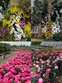 五一反向旅遊之上海-辰山植物園