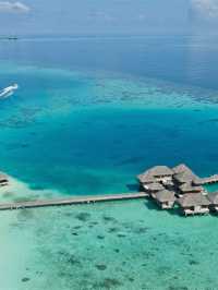🏝️ Maldives Marvels: Luxe Huvafen Fushi Stay 🌟