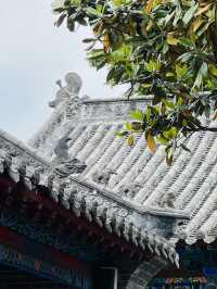 南陽“新莽造幣廠”：或揭王莽新政“一角”
