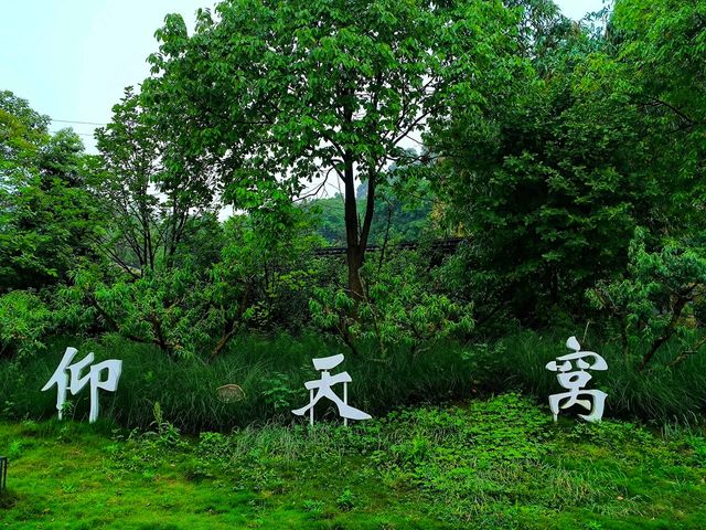 成都地鐵直達的綠色大森林—龍泉仰天窩
