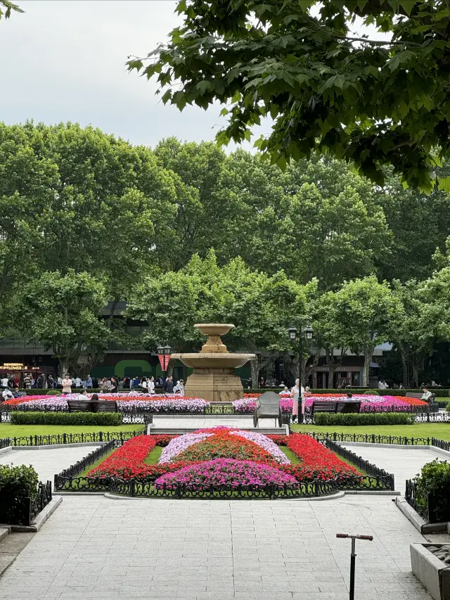 Shanghai | There is a rare human vacation zone in Fuxing Park - an Instagram paradise