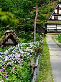 🏨✨ Discover Takayama's Gem: Hoshokaku Hotel 🍜🌸