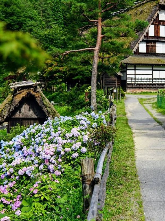 🏨✨ Discover Takayama's Gem: Hoshokaku Hotel 🍜🌸