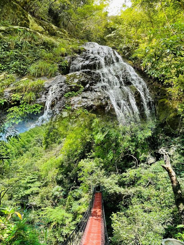 長沙近郊避暑秘籍 —— 周洛大峽谷，夏日裡的清新綠洲