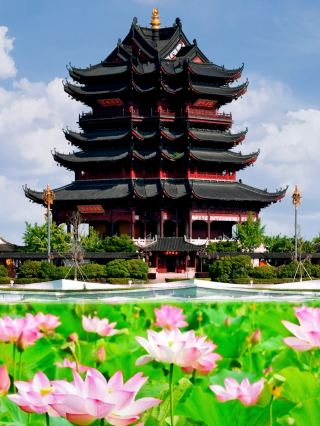 Suzhou | Chongyuan Temple is about to become stunningly beautiful