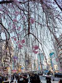 東京景點｜上野Ueno