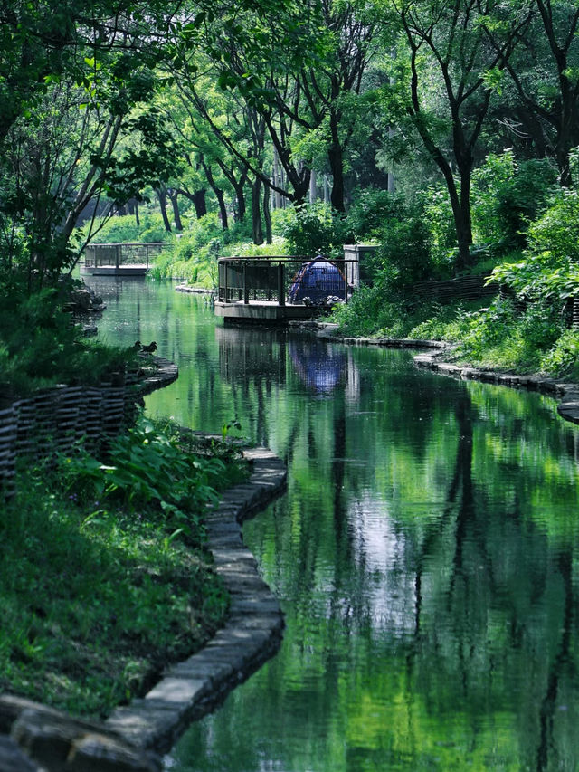藏在北京的綠野仙蹤，北坞公園絕美打卡地