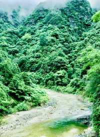 原始森林公園，絕美之旅