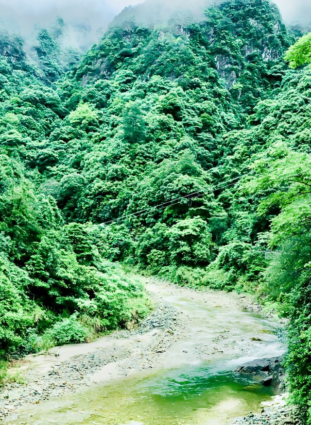 原始森林公園，絕美之旅