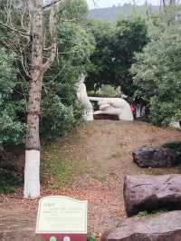 放鬆仙境——大陽山國家森林公園