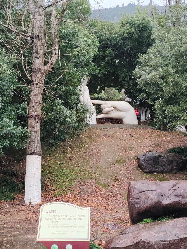 放鬆仙境——大陽山國家森林公園