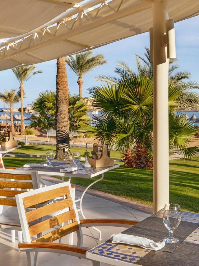 🌟🏨 Luxe Oasis: Marsa Alam's Hidden Gem 🌴✨