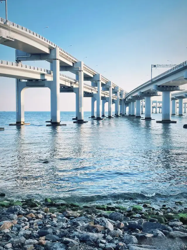I thought Weihai was already beautiful until I went to Dalian