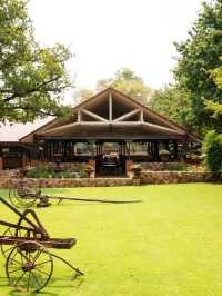 🌟 Luxe Tranquility in Centurion: Irene Country Lodge 🌳✨